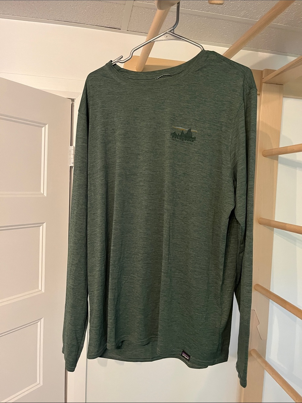 Patagonia Green Long Sleeve Crewneck capilene